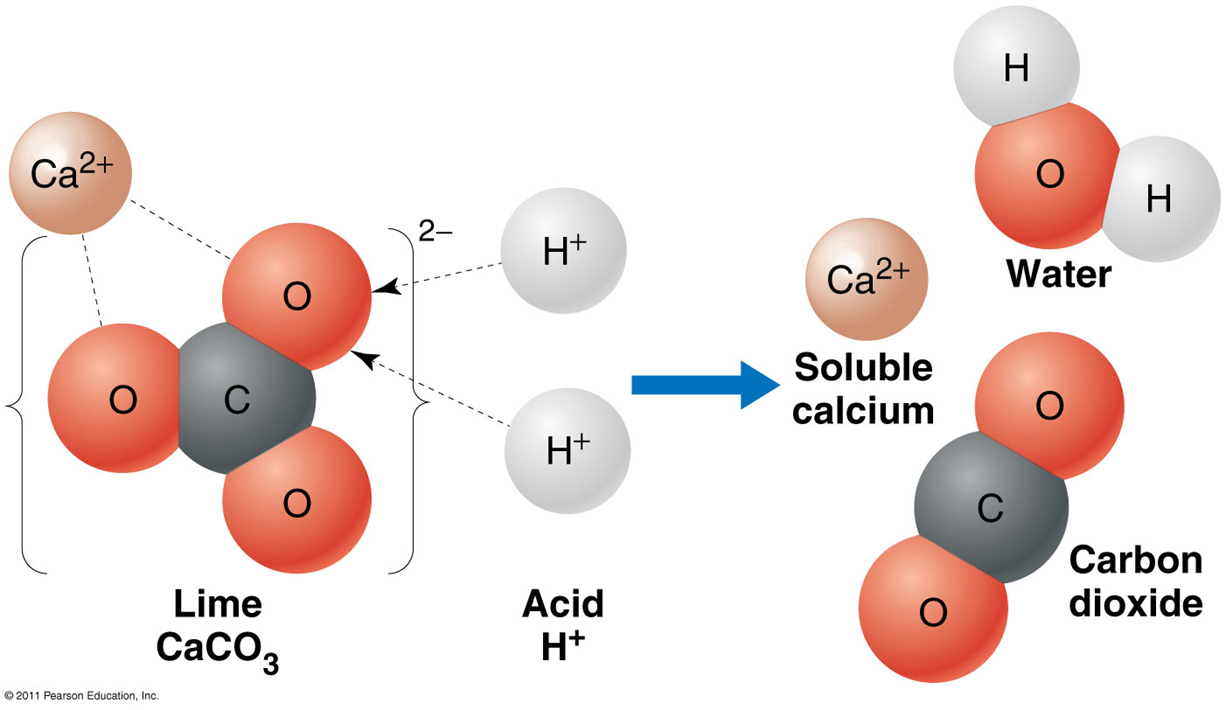 By adding a buffer, the pH of a lake or river remains close to neutral, despite the additional acid
