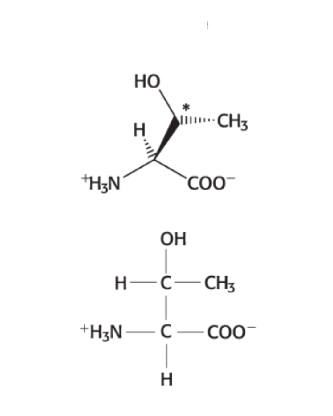 <p>HYDROPHILIC: Hydroxyl group on carbon chain</p>