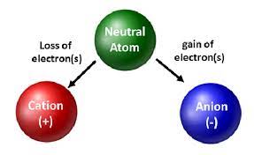<p>An atom or group of atoms that has gained or lost one or more electrons, thus acquiring a charge.</p>