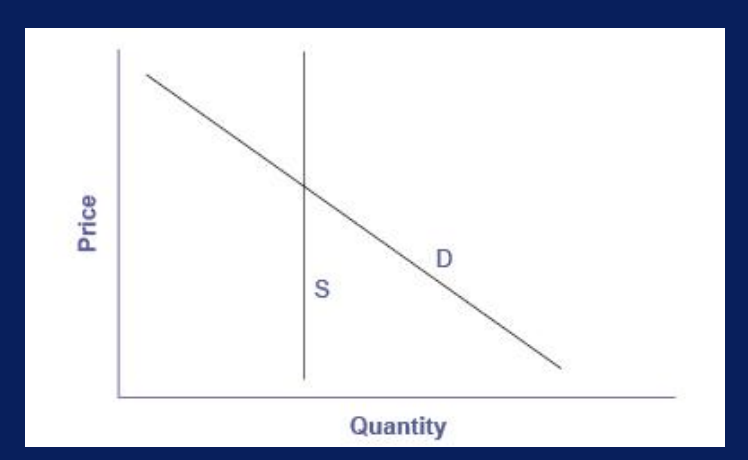 <ul><li><p>supply of paintings is highly inelastic</p><ul><li><p>supply of paintings represented by a vertical line, since no amount of price fluctuation can change them</p></li></ul></li><li><p>price is therefore wholly determined by the position of the demand curve</p></li></ul><p></p>