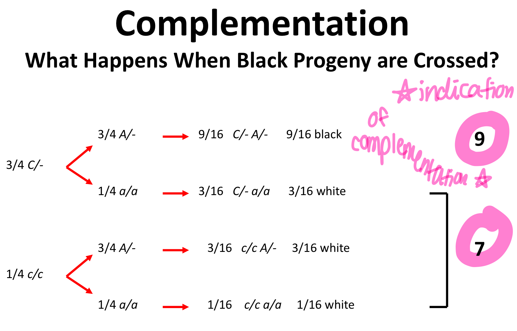 different genes

will not occur if the mutations are in the same gene!
