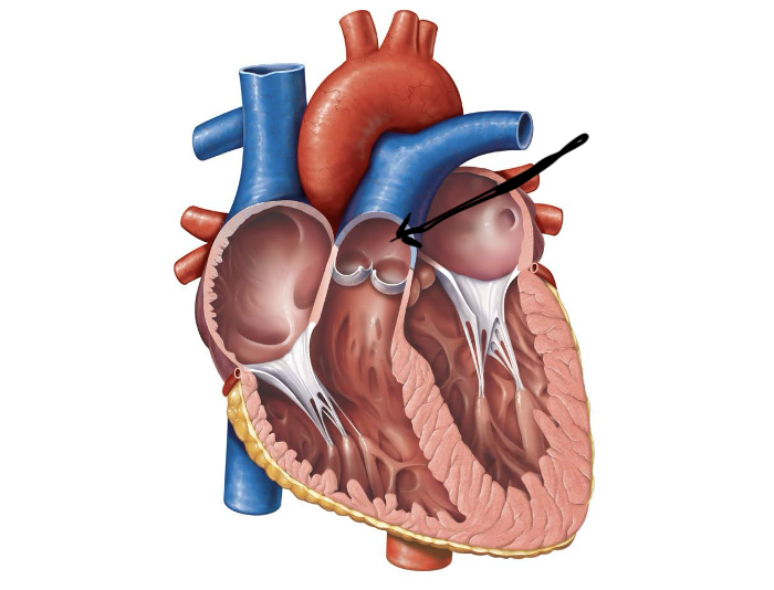 <p>Label and function</p>