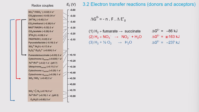 <ul><li><p>More negative which also releases more energy </p></li></ul><p></p>