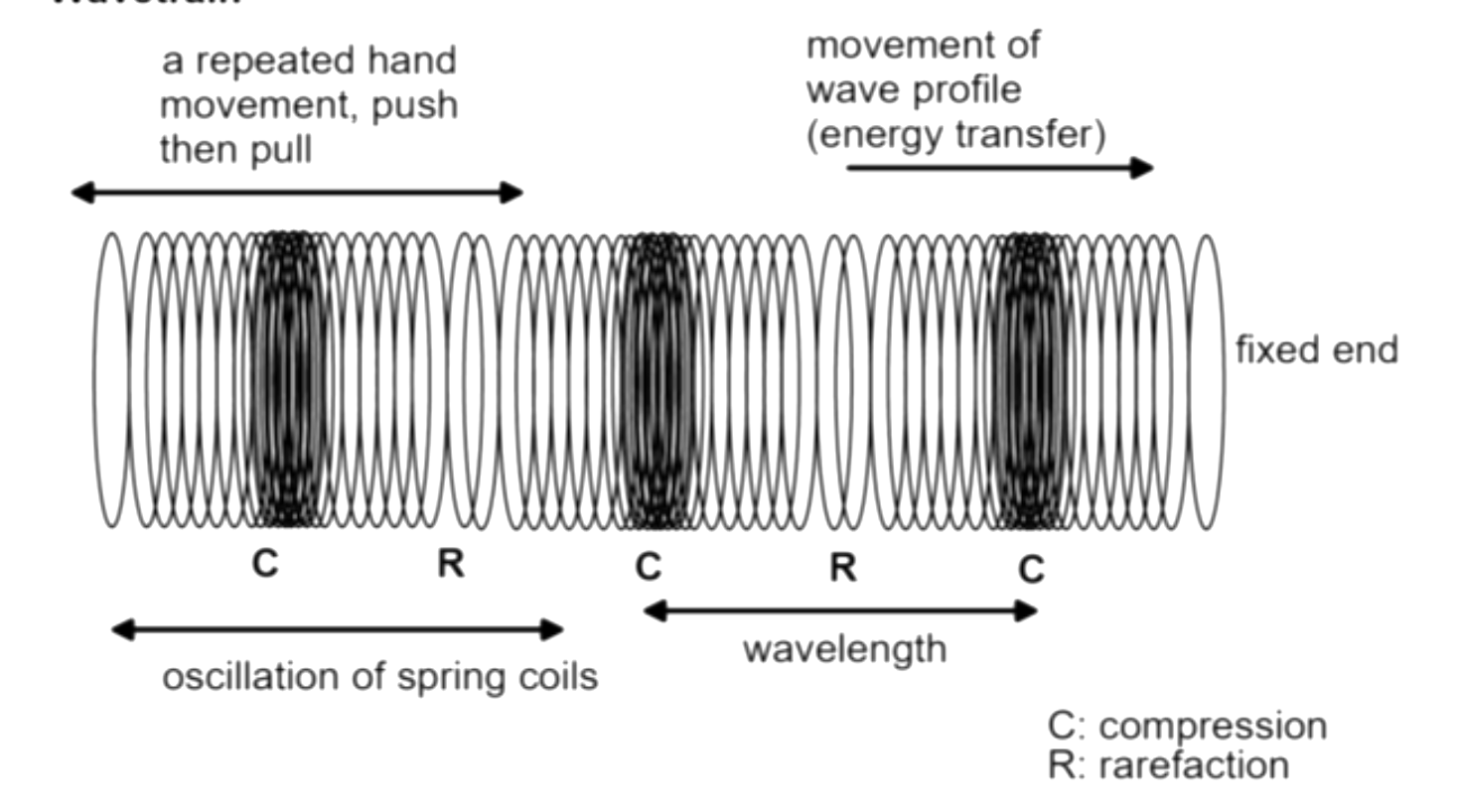 <p>What wave type is this</p>