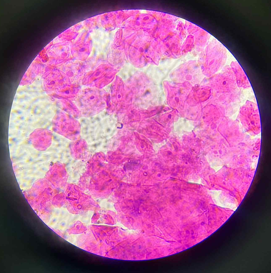 <p>What is the function of this?</p>