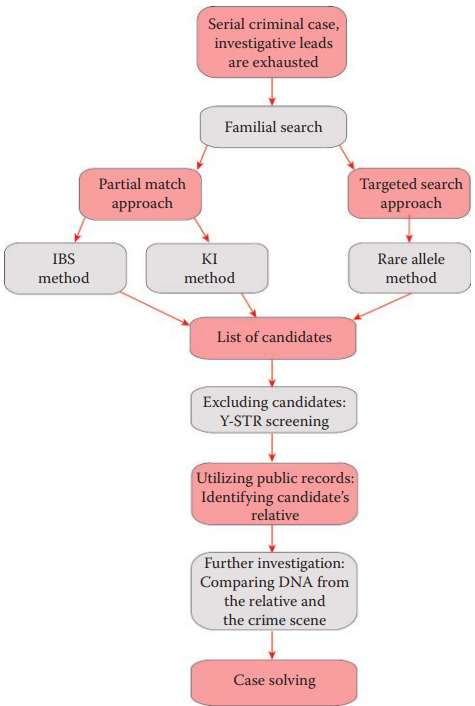 Example of a familial search workflow.