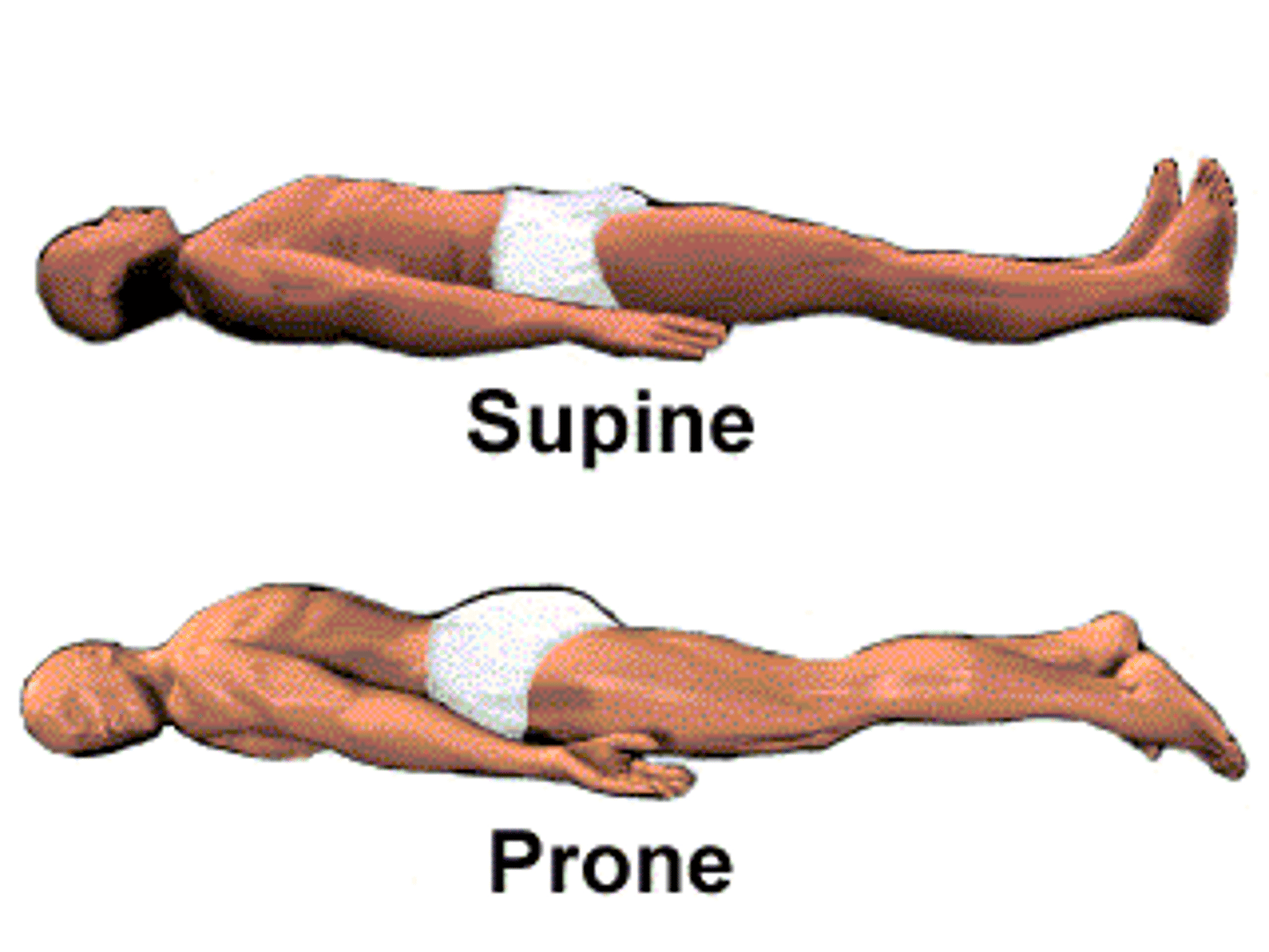 <p>Supine: Lying face up</p><p>Prone: lying face down</p>
