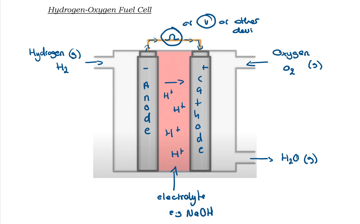 knowt flashcard image