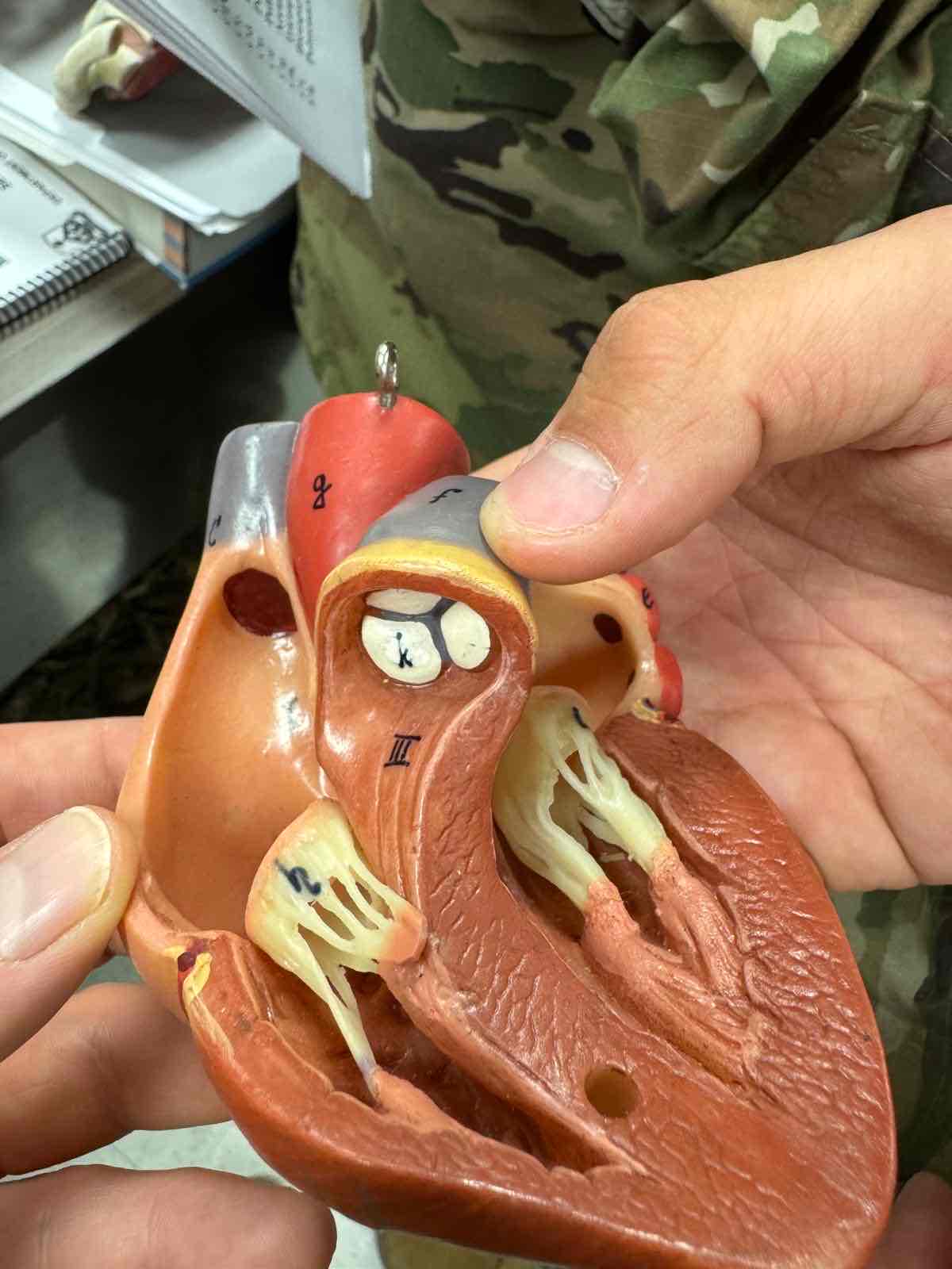 <p>57 K </p>