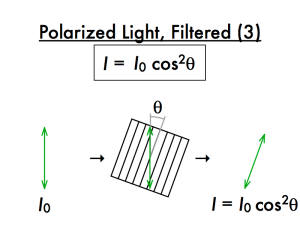 <ul><li><p style="text-align: start">relates the incident intensity and transmitted light passing through a polarizer and an analyzer</p></li></ul>