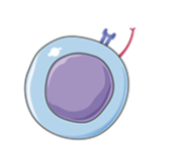 <ul><li><p>Effector T cell</p></li><li><p>kill infected cells</p></li></ul><p></p>