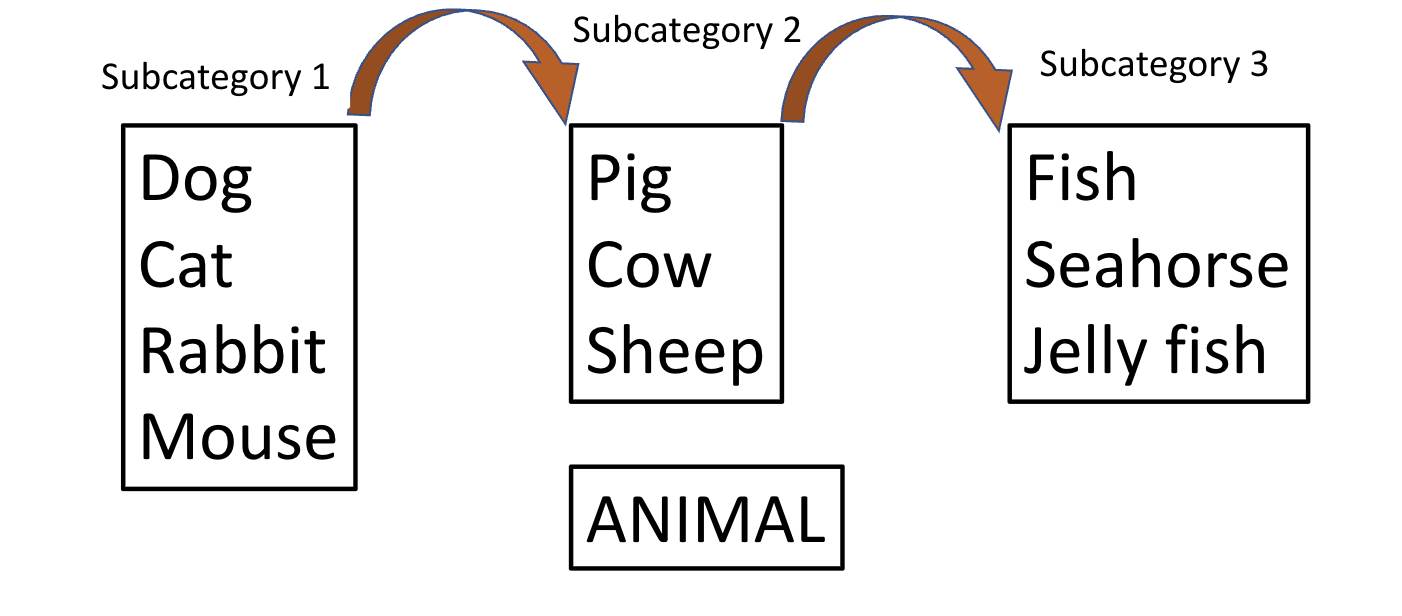 <p>Memory search: verbal fluency task: recall as many words as possible in a given category.</p>