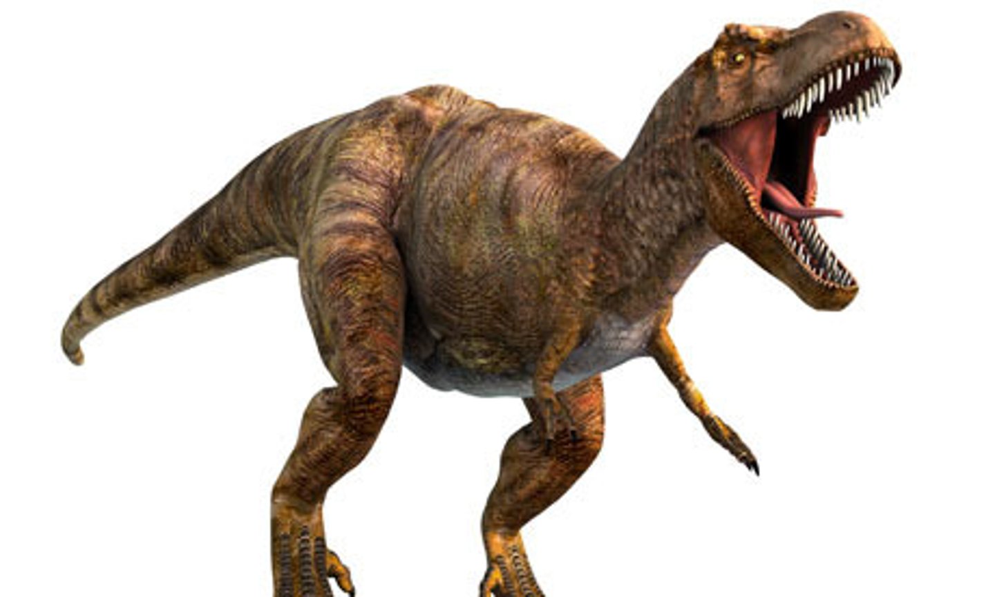 <p>Tyrannosaurus</p>