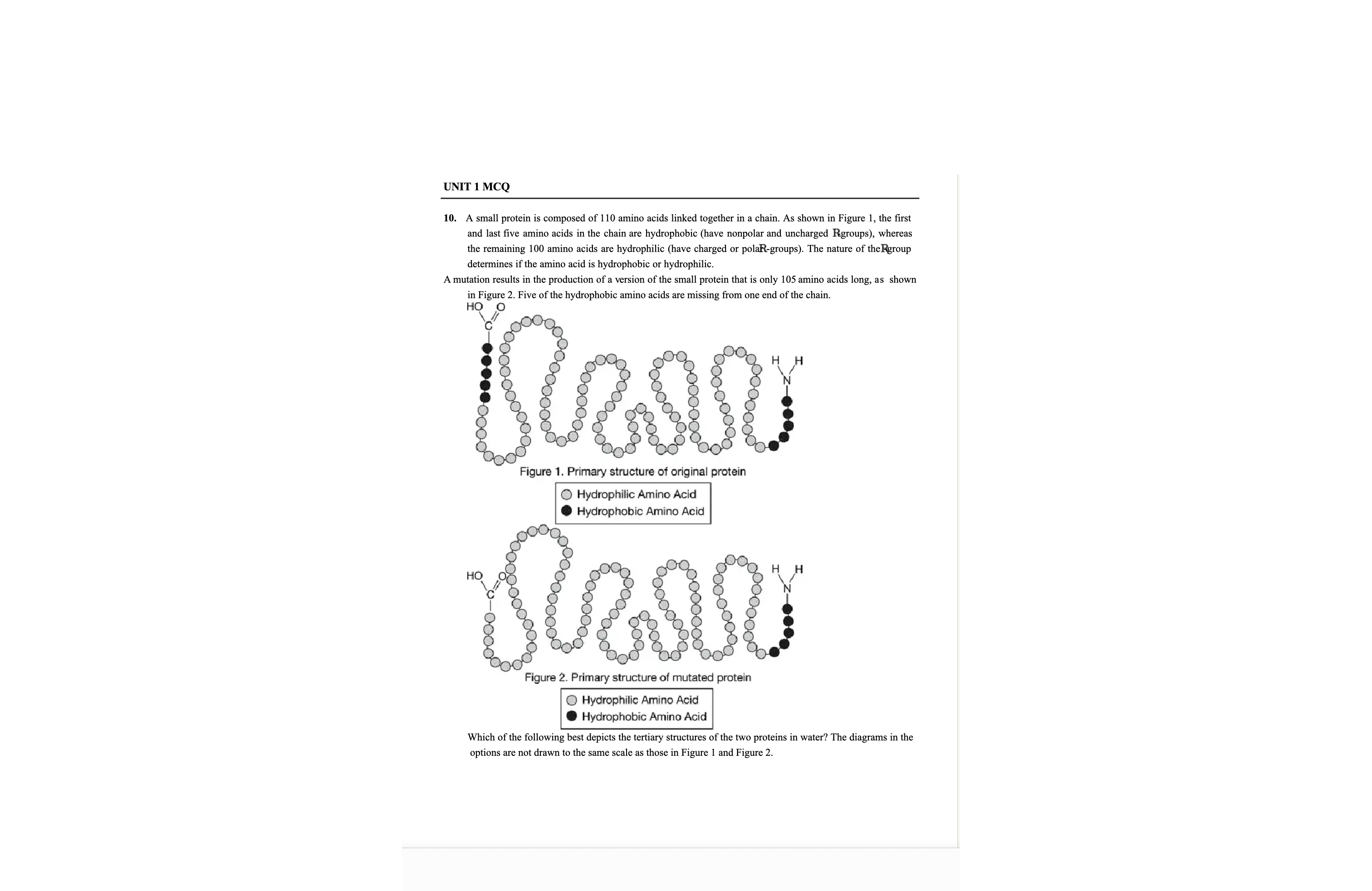 <p>Which of the following best depicts the tertiary structures of the two proteins in water? The diagrams in the options are not drawn to the same scale as those in Figure 1 and Figure 2.</p>