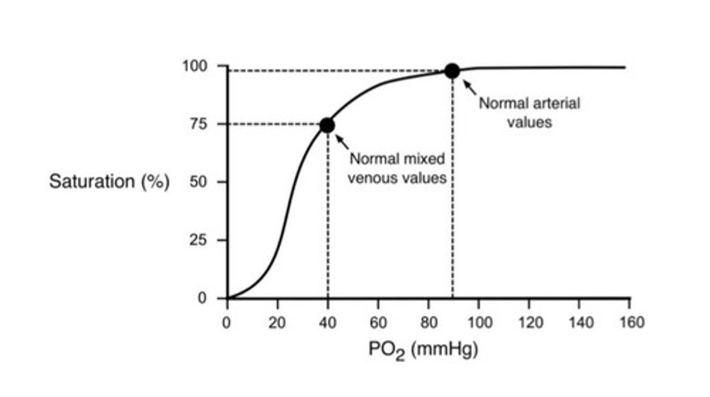 <p>it plots how saturated the hemoglobin is in the presence of a given partial pressure of oxygen. when hemoglobin is present in high oxygen, it is fully saturated (like in arteries), and when present in low oxygen, it is less saturation (like in veins)</p>