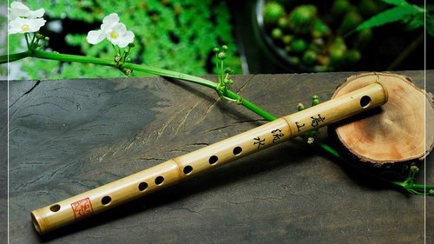 <p>/ə bæm'buː fluːt/ • Phrase • A flute made from bamboo, often used in traditional music • Sáo trúc • He bought a bamboo flute as a souvenir.</p>