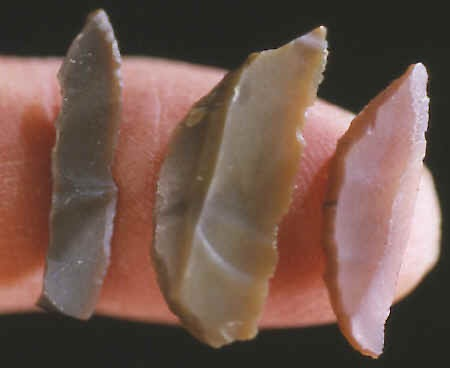 <p>The characteristic tool type: microlithic (Greek for “small stone”), small and delicately shaped stone tools </p>