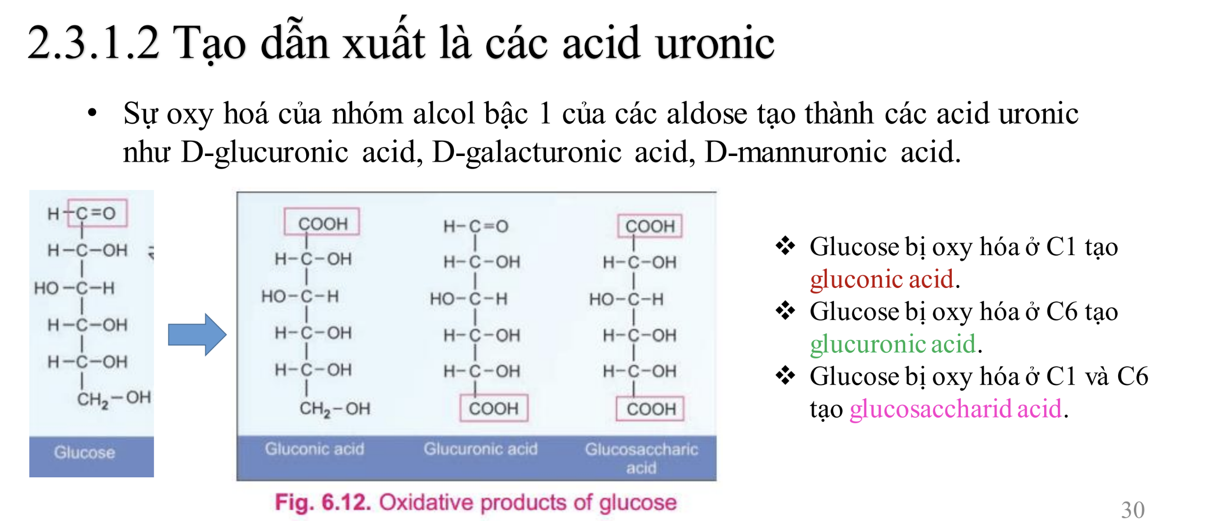 <p><strong>Glucose bị oxy hoá ở C6 tạo ?</strong></p><p>A. Acid glucuronic</p><p>B. Acid gluconic</p><p>C. Acid glucosaccharid</p><p>D. Glucosamin</p>