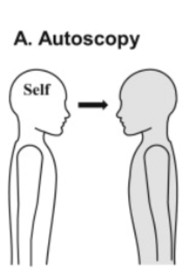 <p>Not residing in your body (view that you’re looking as yourself)</p><ul><li><p>Right parieto-occipital cortex</p></li><li><p>Right temporo-occipital cortex</p></li></ul><p></p>