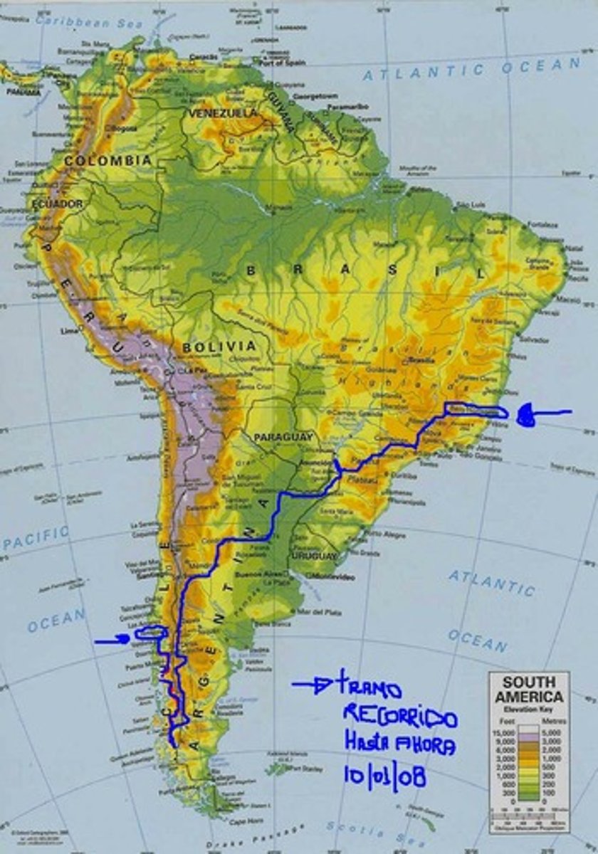 <p>some maps (masculine)</p>