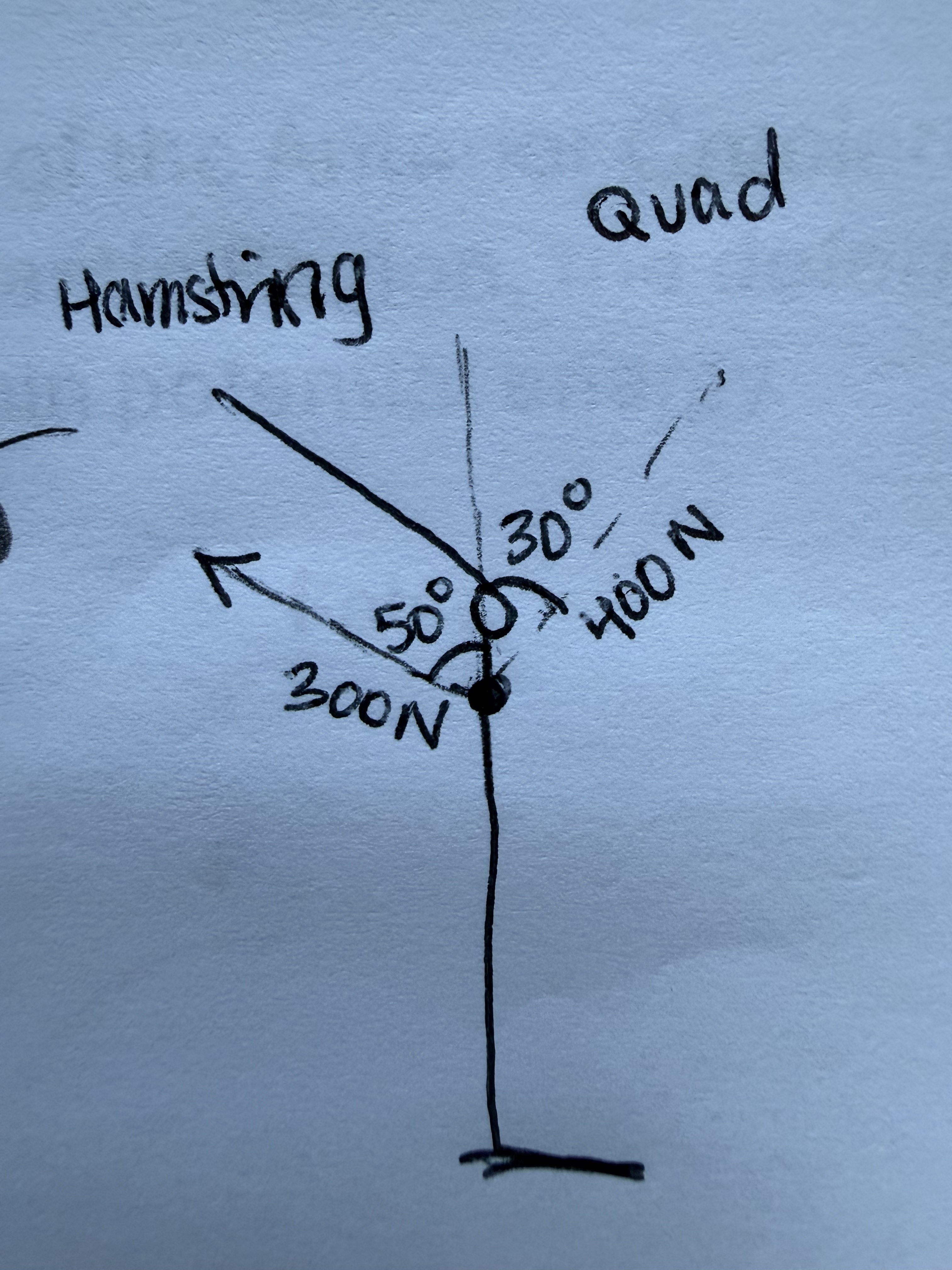 <p>The net force acting within the sagittal plane about the frontal axis is?</p>