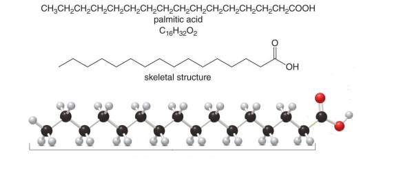 <p>Which compound is the following?</p>