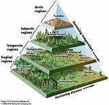 <ul><li><p>A group of ecosystems with similar climates and organisms</p></li></ul>