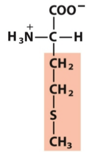 <p>Nonpolar, aliphatic</p>