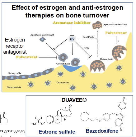 <ol><li><p>Selective estrogen receptor modulators (SERMS)</p></li><li><p>Treats osteoporosis </p></li></ol><p></p>