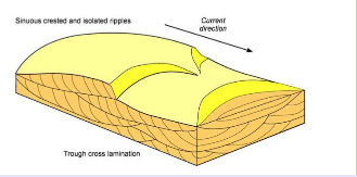 <p>Curved cross laminae that all dip in different directions are formed mainly in the trough-shaped low areas between adjacent ripple forms; caused by linguoid ripples</p>