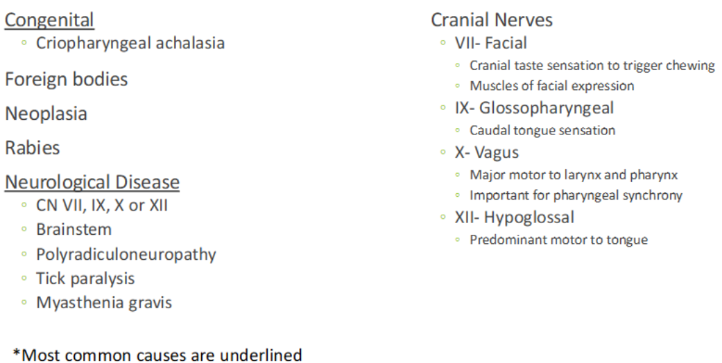 <p>Congenital abnormalities and neurological diseases <em>(see picture for others)</em></p>