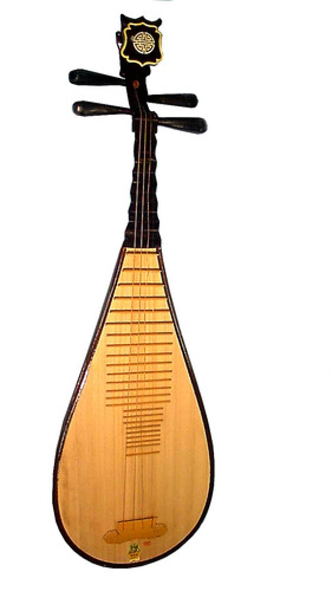 <p>Chinese lute</p>