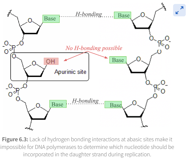<p><span>replication will stop</span></p>