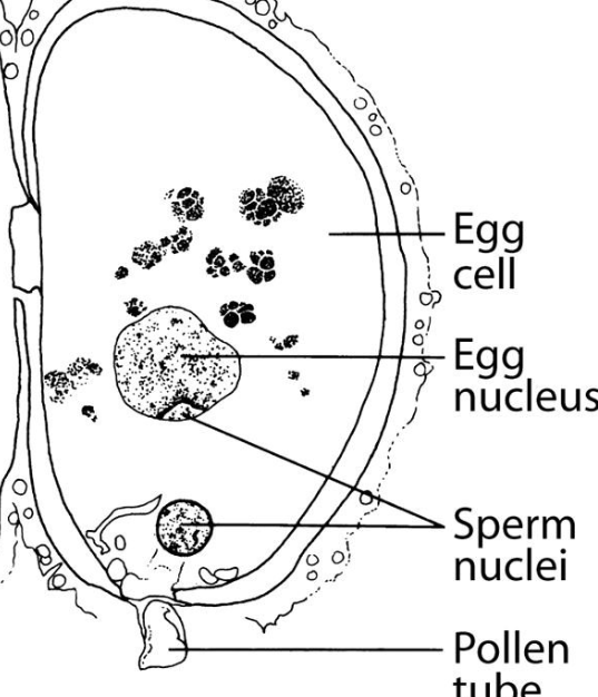 <p>What is this?</p>