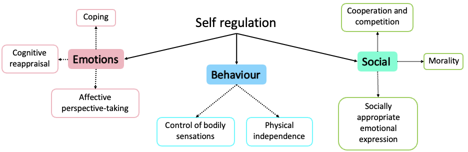 <p><mark data-color="yellow" style="background-color: yellow; color: inherit;">self-other distinction: </mark>The ability to distinguish between one’s own internal and external states (e.g., emotions, intentions and behaviour) from another individual’s internal or external states</p><ul><li><p>areas of the brain involved in S-O distinction go beyond the PFC to the TPJ and supramarginal gyrus (SMG)</p></li></ul><p></p>