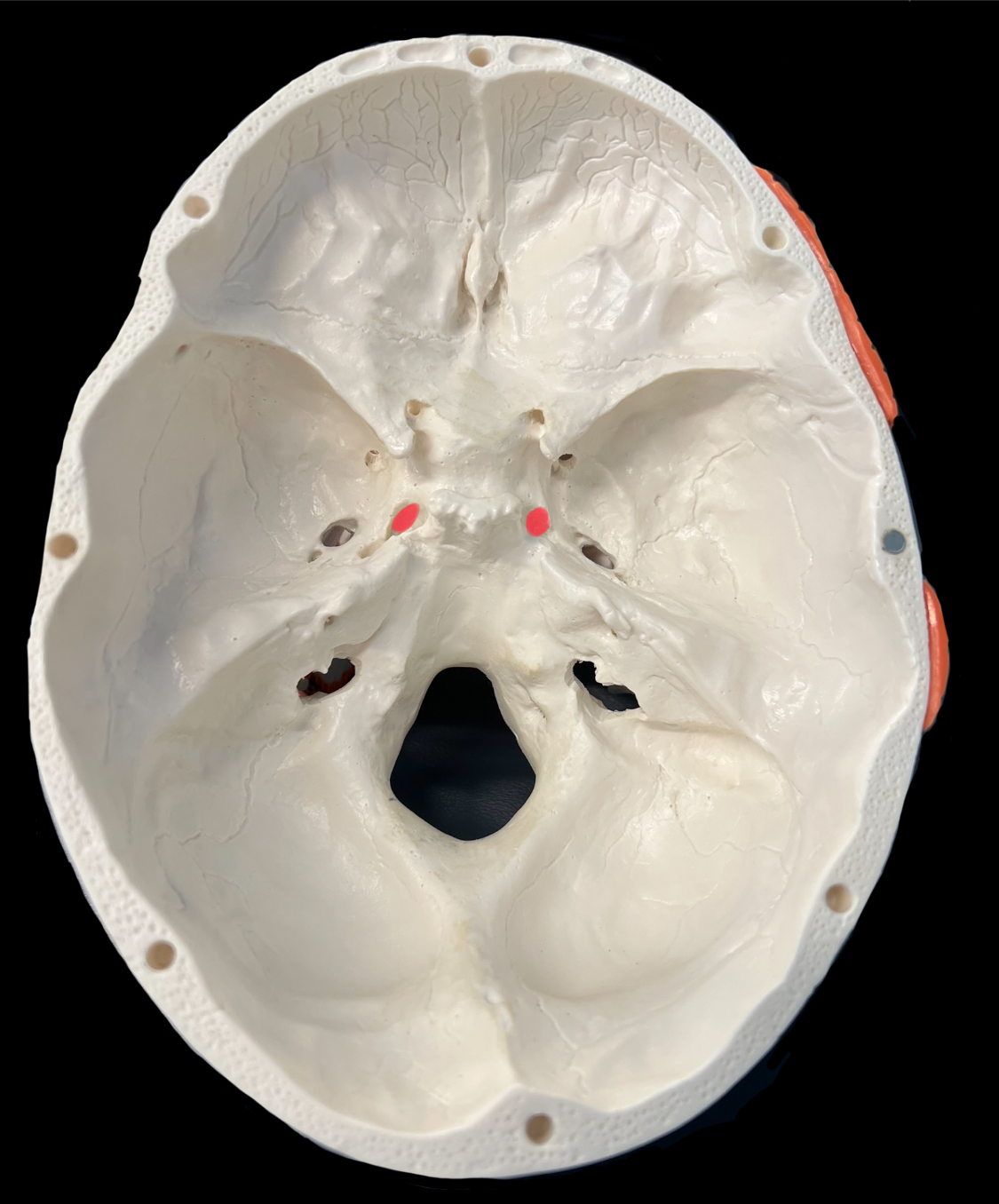 What is highlighted in red?

What goes through it?