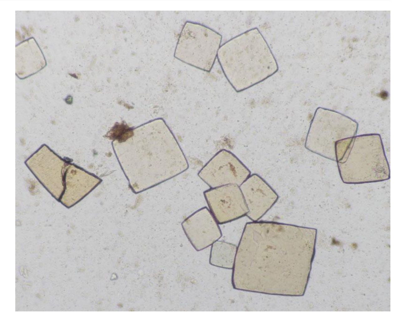 Identify this crystal.