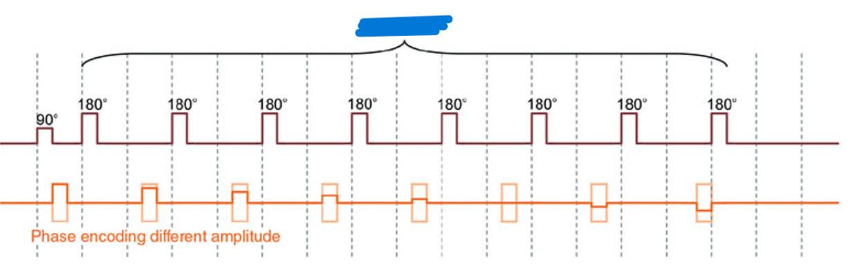 <p>What does this image show?</p>