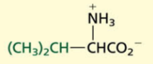 <p>Aliphatic[NONPOLAR]</p>