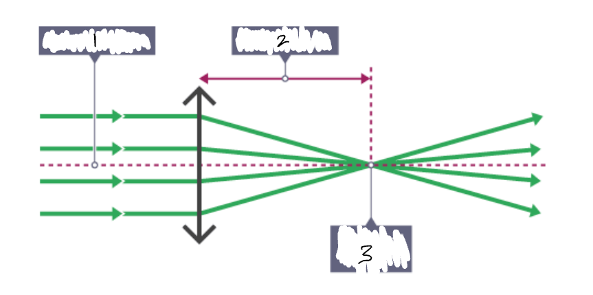 <p>What part of the ray diagram is <strong>3</strong>?</p>