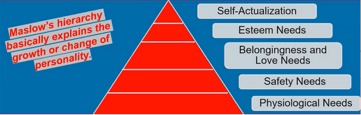 <p><strong>Self-Actualization</strong> is the ultimate goal but only pursued after basic needs are met.</p>
