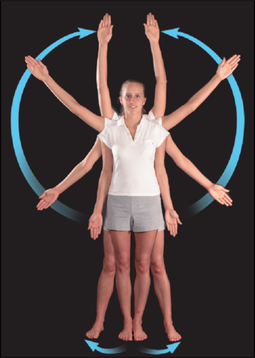 <p>moves away from midline</p>