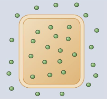 <p>concentration of electrolytes is the same on either side of the cell membrane</p>