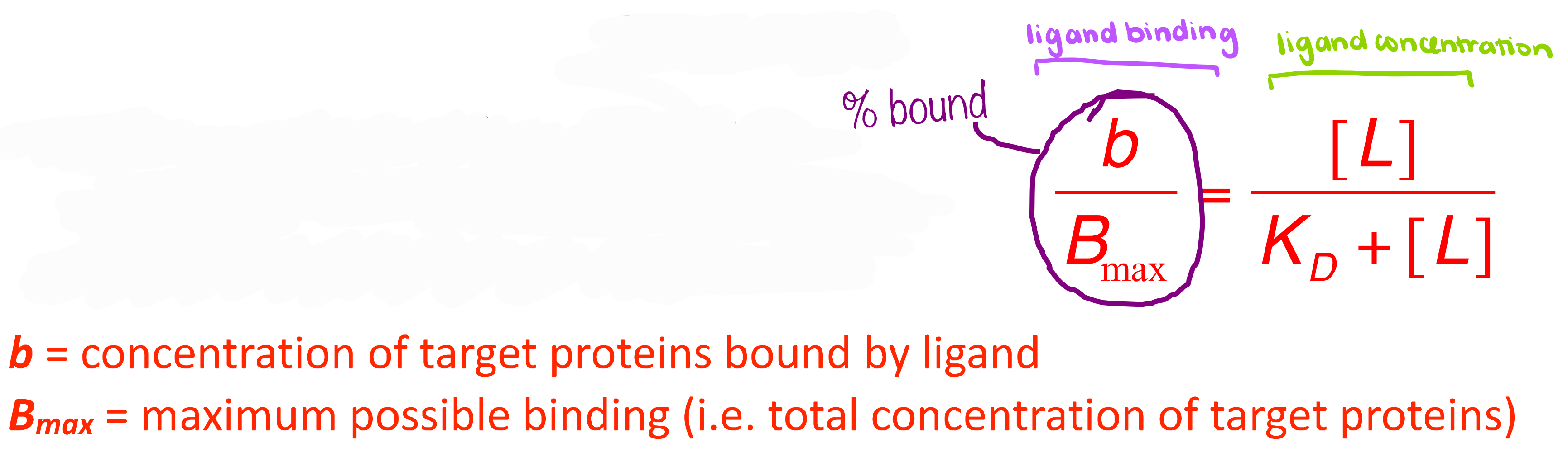 <p>The equation for a hyperbola that relates ligand concentration to binding is called the ——- ——- equation.</p>