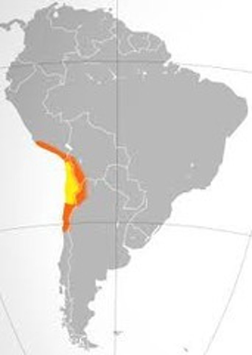 <p>Driest desert in the world</p>