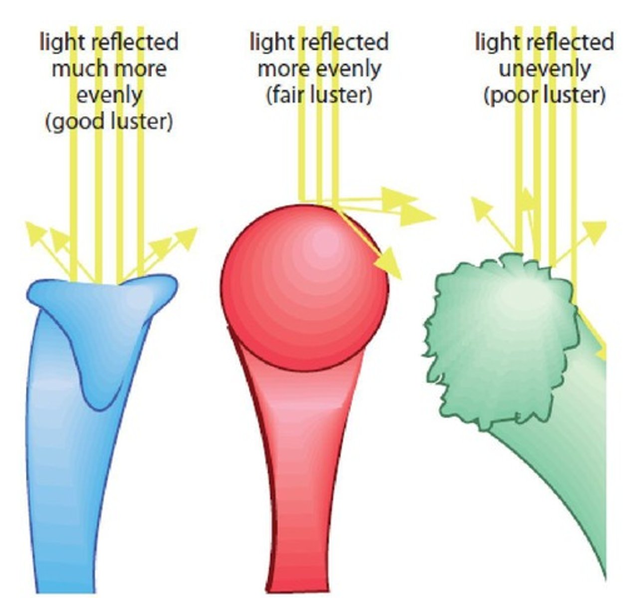 <p>Luster is affected by the smoothness of the surface, crimp, cross-sectional shape, and fiber length.</p>