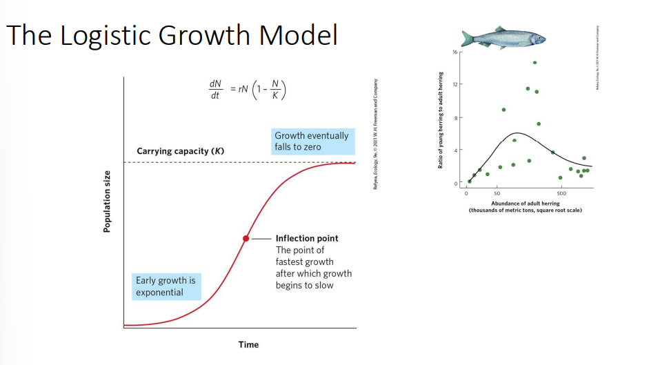 <p>includes density dependence </p>