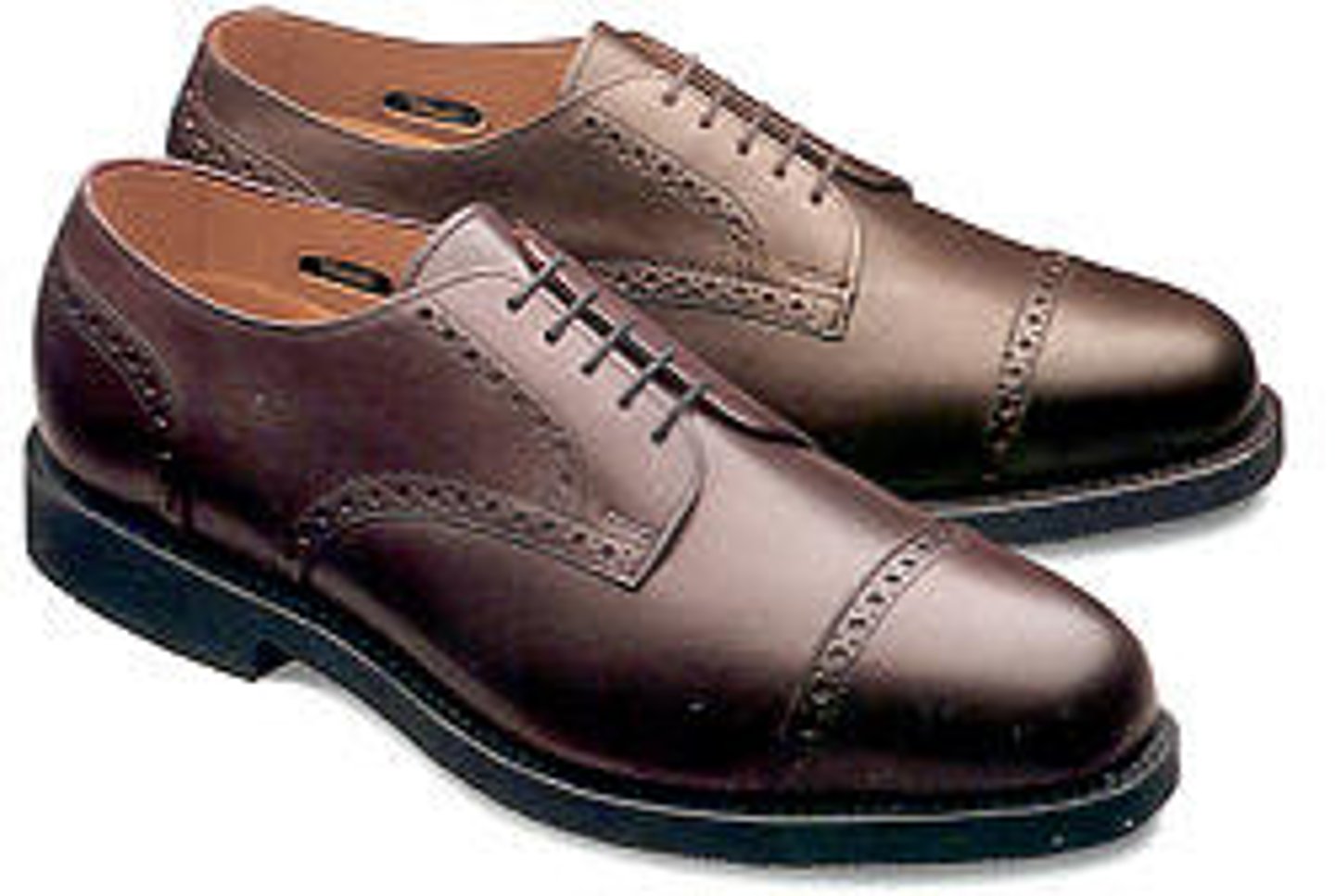 <p>shoe</p>