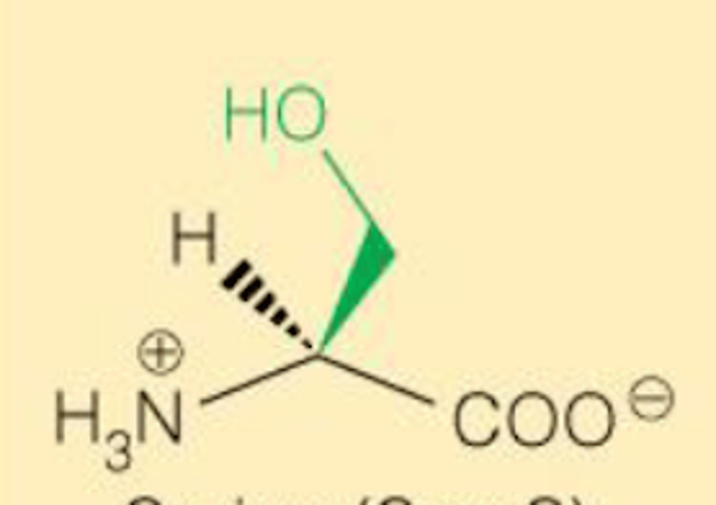 <p>Polar neutral</p>