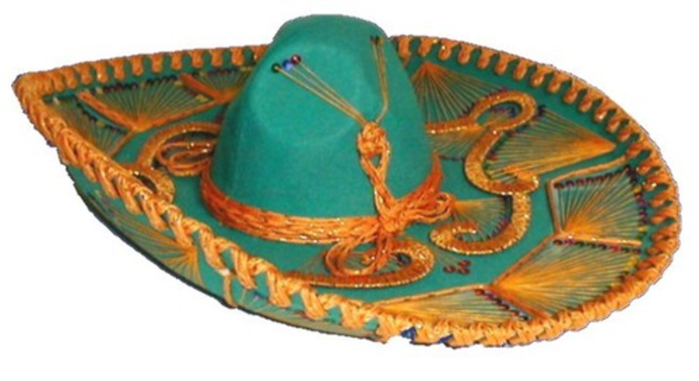<p>hat with a brim</p>